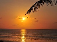 Pulau RI Dijual Online