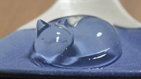 Jelly transparan yang artistik ini ternyata jika diperhatikan memiliki bentuk kucing yang sedang duduk. Foto: Istimewa
