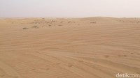 Gurun pasir itu bernama Dubai Desert Conservation Reserve. Lokasinya di E-66, Dubai Al Ain Highway, Murqqab Exit 50 atau sekitar 45 menit dari pusat Kota Dubai (Afif Farhan/detikTravel)