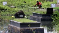 Biasanya mereka mendapatkan ikan-ikan kecil.