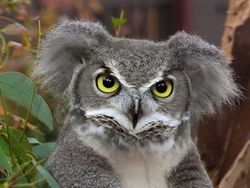 Potret Lucu Kawin Silang Hewan Hasil Photoshop