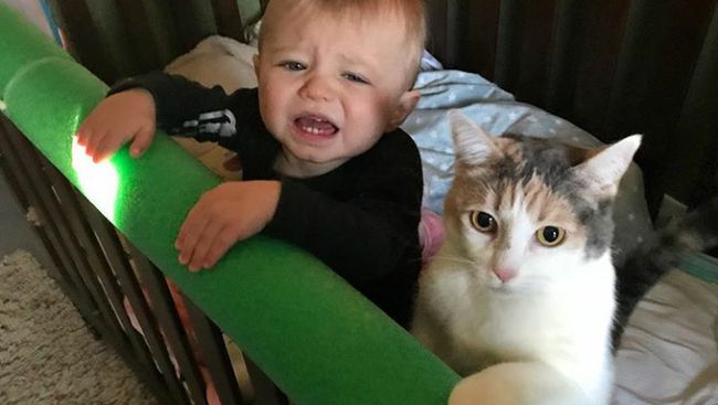 Momen-momen Kompak si Kecil dengan Kucing Peliharaannya Momen-momen Kompak si Kecil dengan Kucing Peliharaannya