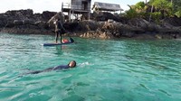 Susi berenang di laut Natuna. Dok. Pribadi.