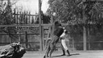 Foto Hitam Putih, Pelatihan Singa Tahun 1920-an