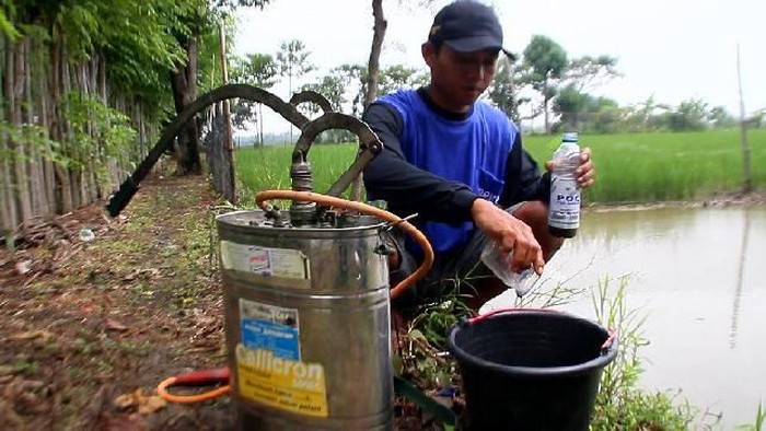 Cara Petani di Brebes Kurangi Kerugian Saat Harga Bawang Anjlok
