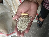 Harga Beras Makin Mahal, Pemerintah Akhirnya Pilih Impor