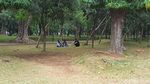 Foto: Saat Warga Duduk-duduk di Rumput Monas yang Tanpa Pagar