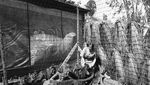 Foto Hitam Putih, Pelatihan Singa Tahun 1920-an