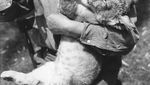 Foto Hitam Putih, Pelatihan Singa Tahun 1920-an