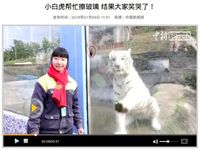(Screenshot China News)