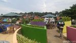 Foto: Spot Asyik Buat Selfie di Kampung Pelangi Semarang