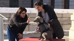 Guk! Saat Riley Si Anjing Pengendus Diwawancara