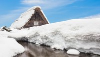 Di kala musim dingin, bangunan dan jalanan Shirakawago tertumpuk salju. Di sejumlah area bahkan salju bisa menumpuk hingga 1,5 meter (Thinkstock)