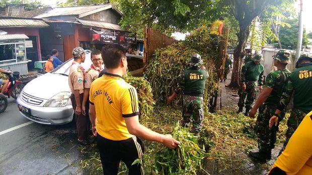 Sampah dan tanaman liar diangkut ke truk sampah yang disiapkan