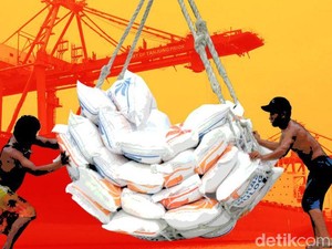 Stok Beras Sulsel Melimpah, Ini Kata Kementan