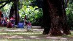 Perhatian! Rumput di Taman Monas Sekarang Boleh Diinjak