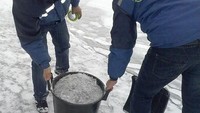 Tak hanya itu, mereka juga mengumpulkan tanda tangan petisi yang ditujukan kepada kepala asosiasi organisasi ekologi Kazakhstan. 