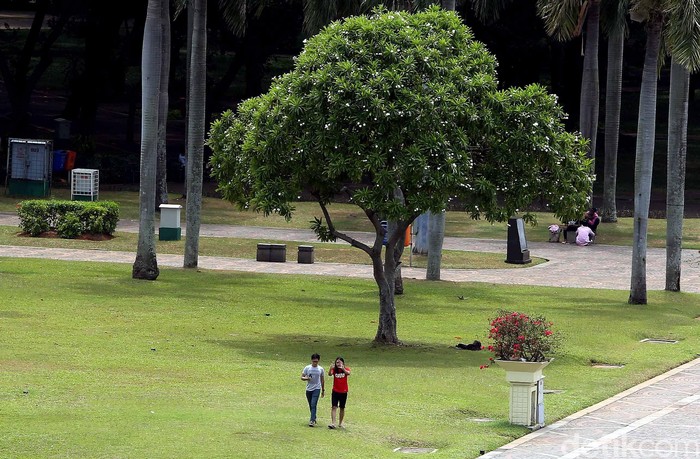 Perhatian! Rumput di Taman Monas Sekarang Boleh Diinjak