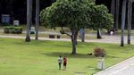 Perhatian! Rumput di Taman Monas Sekarang Boleh Diinjak