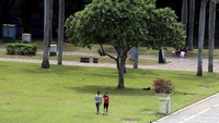 Rumput di taman Monas kini terlihat bebas diinjak-injak oleh pengunjung yang datang disana.