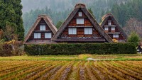 Jika berkunjung saat musim semi atau panas, Shirakawago tampak berbeda. Tak ada salju tebal yang melapisi rumah maupun jalanan (Thinkstock)