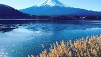 Bukan cuma danau dengan pemandangan yang indah, traveler juga bisa memandang Gunung Fuji yang gagah dari sini (Instagram/lewistse1)