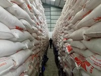 Beras Sachet 200 Gram Segera Dijual, Uji Coba Sebulan
