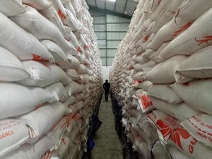Jelang Natal, Stok Beras Bulog di Maluku 13.000 Ton