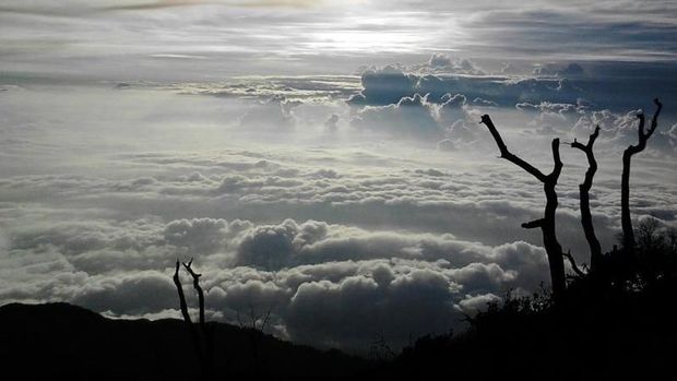 Puncak Slamet