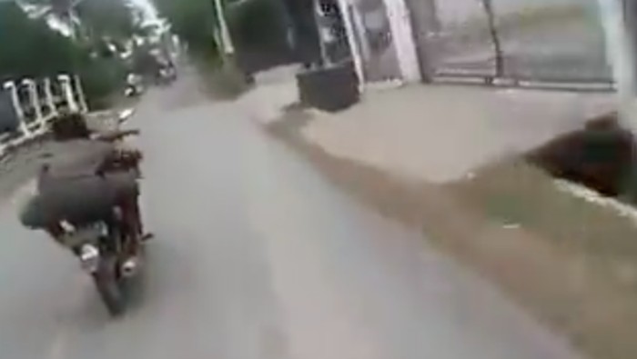 Banyak Gaya, Pengendara Ini Cium Penjual Sayur