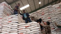 Ketiganya sempat memanjati tumpukan karung beras di gudang Bulog Sulsel, di Jalan Urip Sumahardjo, Makassar.