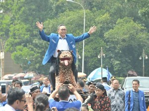 Disebut Prabowo Atur Strategi Turunkan Ahok, Zulkifli: Pujian Saja