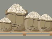Impor Beras dan Sengkarut Data Bermasalah