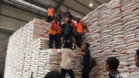 Kita hadir untuk memastikan masalah perut dan pangan rakyat yang penting. Tidak boleh spekulasi, tidak boleh main-main, harus diurus baik-baik, ujar Syahrul Yasin Limpo.