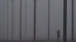 Foto: Kabut Tebal Seperti di Film Horor