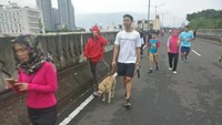 Ribuan warga memenuhi 4,8 kilometer JLNT Antasari memanfaatkannya untuk olahraga lari, jalan santai, dan bersepeda. (Foto: Firdaus/detikHealth)