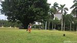 Foto: Ramai-ramai Nikmati Rumput Monas yang Kini Tanpa Pagar