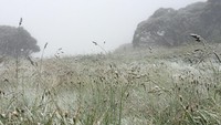 Salju jatuh di resor ski yang tertutup dan Gunung Hotham di Victoria. (Foto: Dok. Instagram hothamalpineresort)