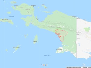Campak dan Gizi Buruk Mewabah di Asmat, Pemerintah Telah Kirimkan Tim
