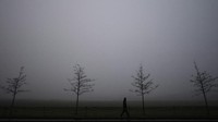 Film The Mist pada tahun 2007, tentu membekas di ingatan traveler. Seisi kota diselimuti kabut tebal. Nah, pemandangan serupa di film ternyata terjadi betulan di Belfast, Irlandia Utara. (Clodagh Kilcoyne/Reuters)