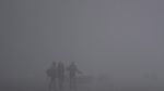 Foto: Kabut Tebal Seperti di Film Horor
