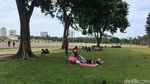 Foto: Ramai-ramai Nikmati Rumput Monas yang Kini Tanpa Pagar