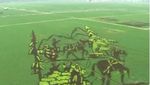 Keren! 10 Karya Seni yang Cantik Ini Dibuat di Atas Hamparan Sawah