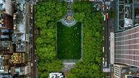 New York masih menyisakan ruang terbuka hijau untuk dinikmati warganya. Seperti contohnya Bryan Park dan Perpustakaan Umum New York ini. Segar ya, bikin pengen traveling ke New York (dok Jeffrey Milstein)