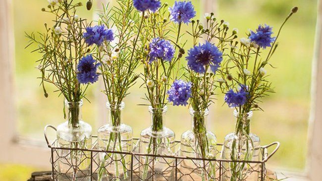 Ide lain untuk bunga penghias yang bernuansa ultraviolet. (Foto: Dok. The Knot)