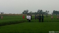 Saya kira ini banyak manfaatnya, menambah uang beredar di masyarakat dan kita harapkan tingkat konsumsi, daya beli masyarkat desa semakin naik karena ada padat karya tunai, kata Jokowi.