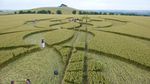 Keren! 10 Karya Seni yang Cantik Ini Dibuat di Atas Hamparan Sawah