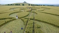 Selain bisa dinikmati dari kejauhan, sawah-sawah ini juga bisa jadi lahan rekreasi. Dan ini terbukti menarik wisatawan. Foto: Istimewa