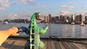 Foto: Ryangodzilling