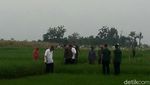 Foto: Sigapnya Jokowi Pegangi Ganjar yang Jatuh di Sawah